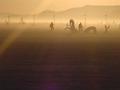Burning Man 2002
